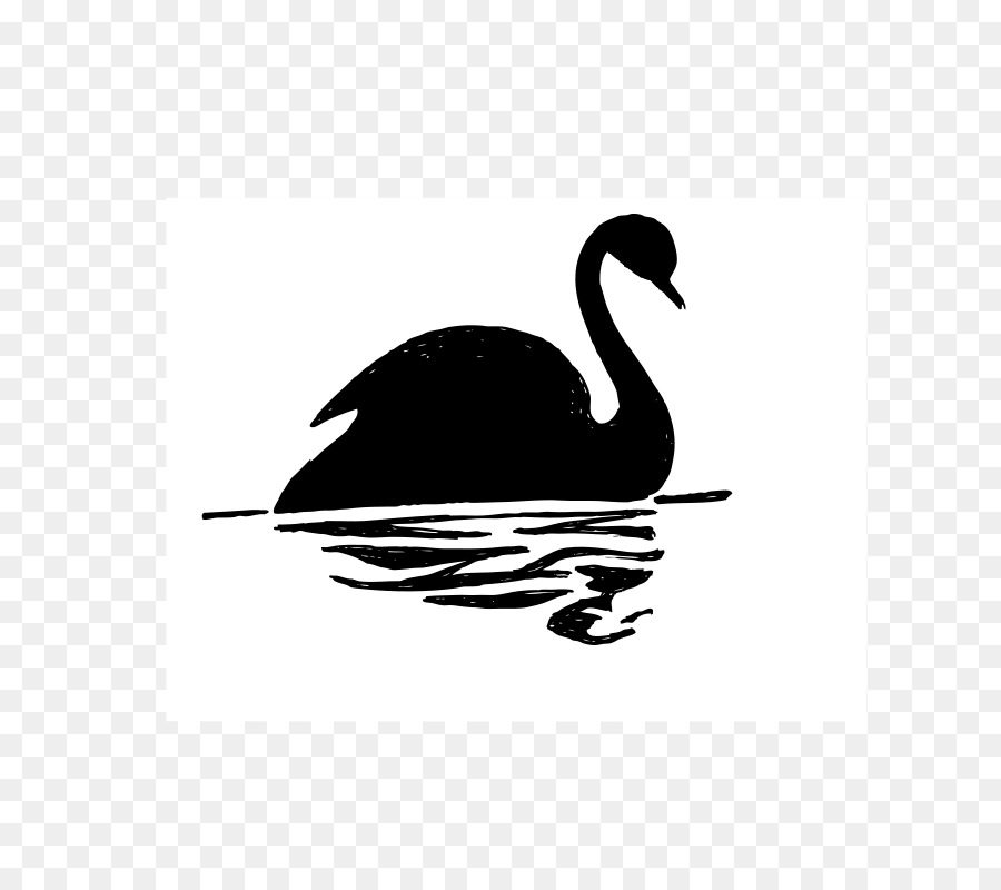 Cygne，Eau PNG