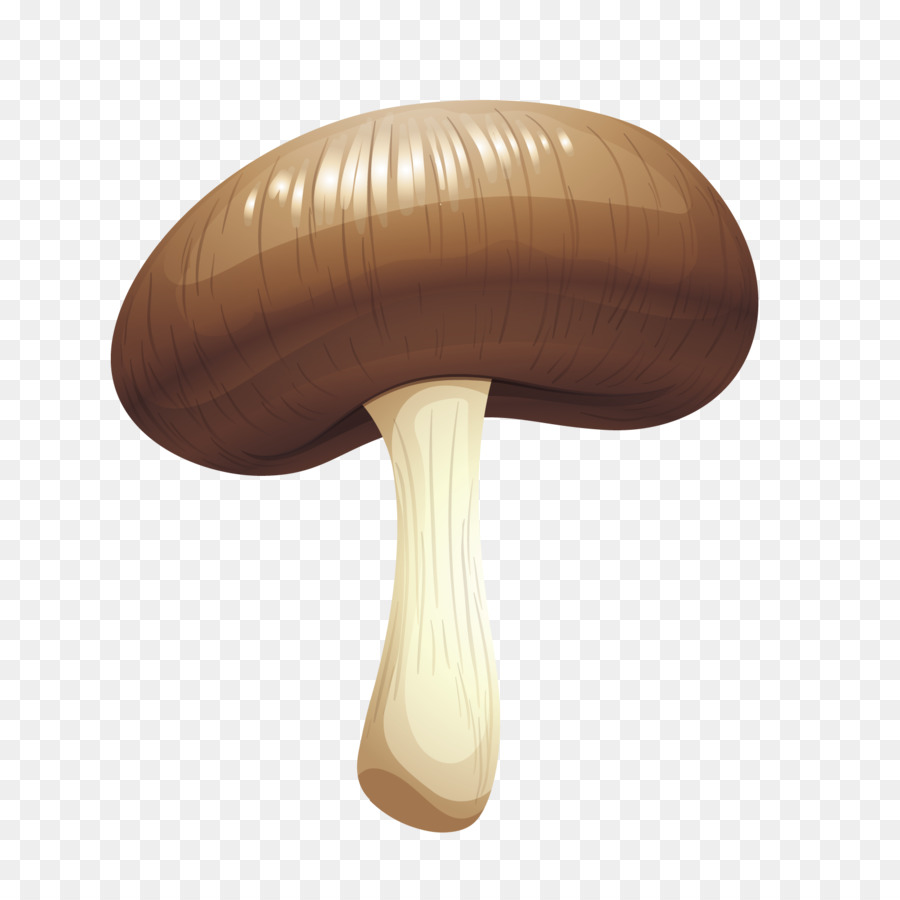 Champignons，Designer PNG