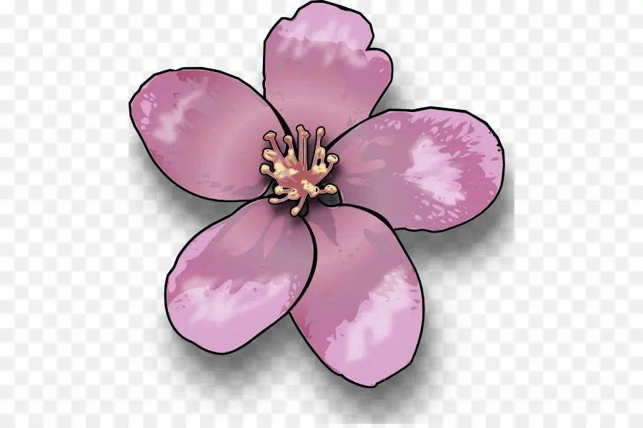 Fleurir，Fleur De Cerisier PNG