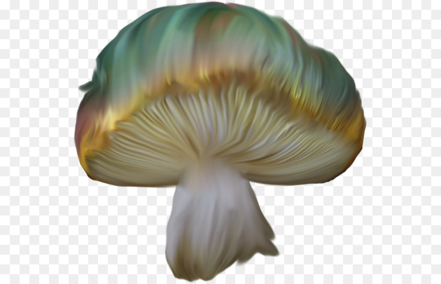 Champignon，Capuchon PNG