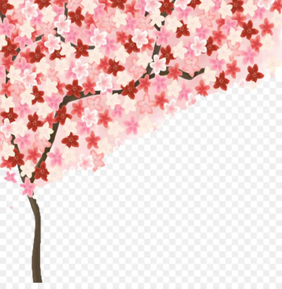 Arbre à Fleurs De Cerisier，Fleurs PNG