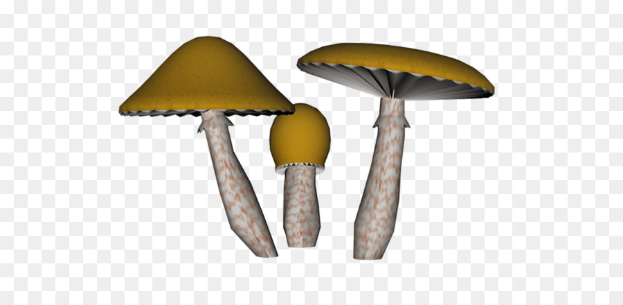 Champignons，Légume PNG