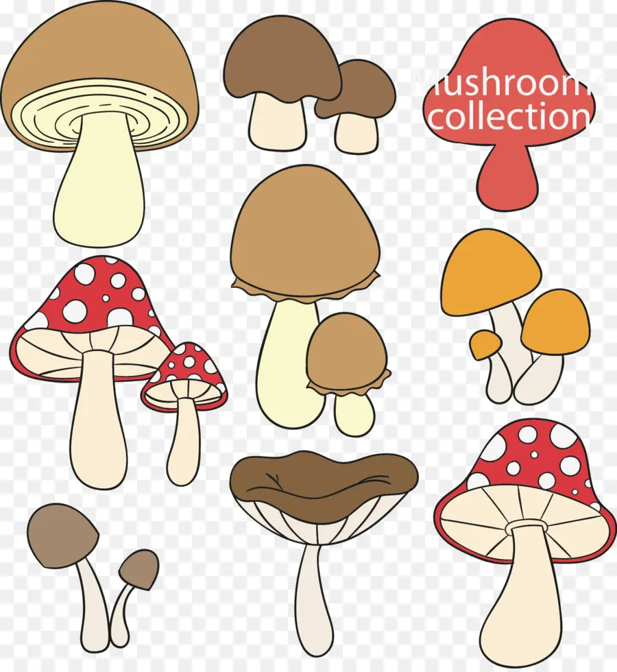 Champignons，Champignons Vénéneux PNG