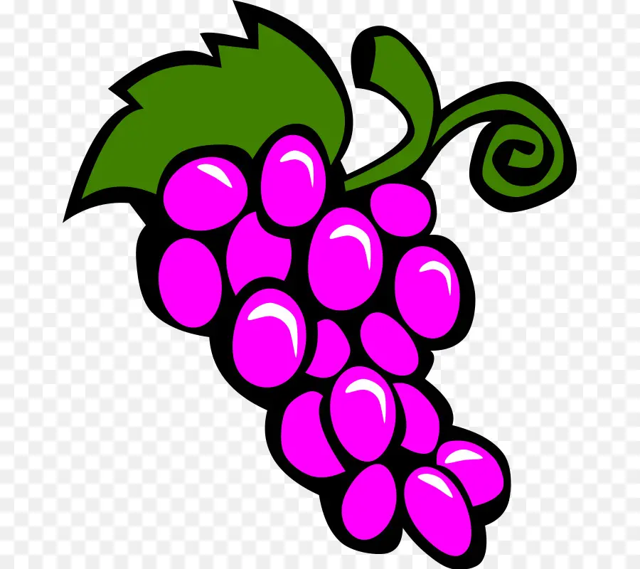 Raisins，Vigne PNG