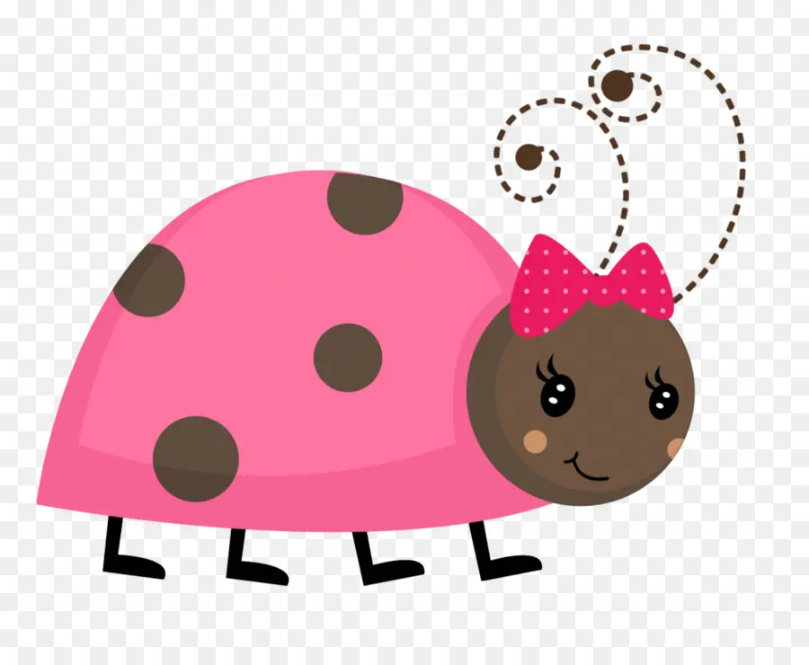 Coccinelle Rose，Insecte PNG