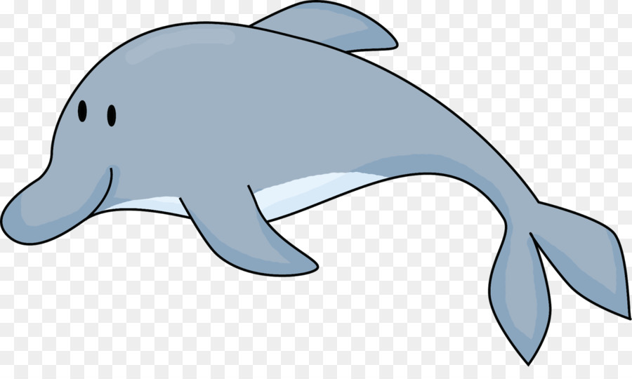 Dauphins De Dessin Animé，Marin PNG