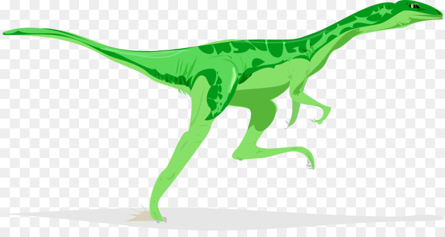 Velociraptor，Stegosaurus PNG