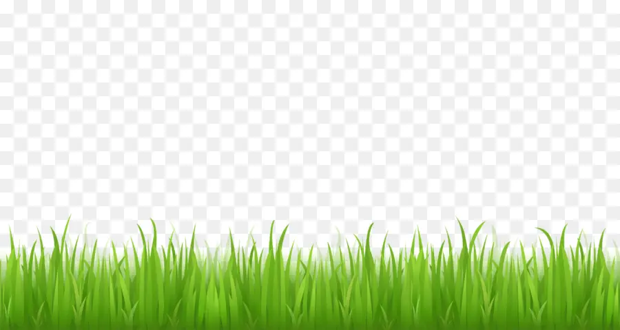 Herbe Verte，Pelouse PNG