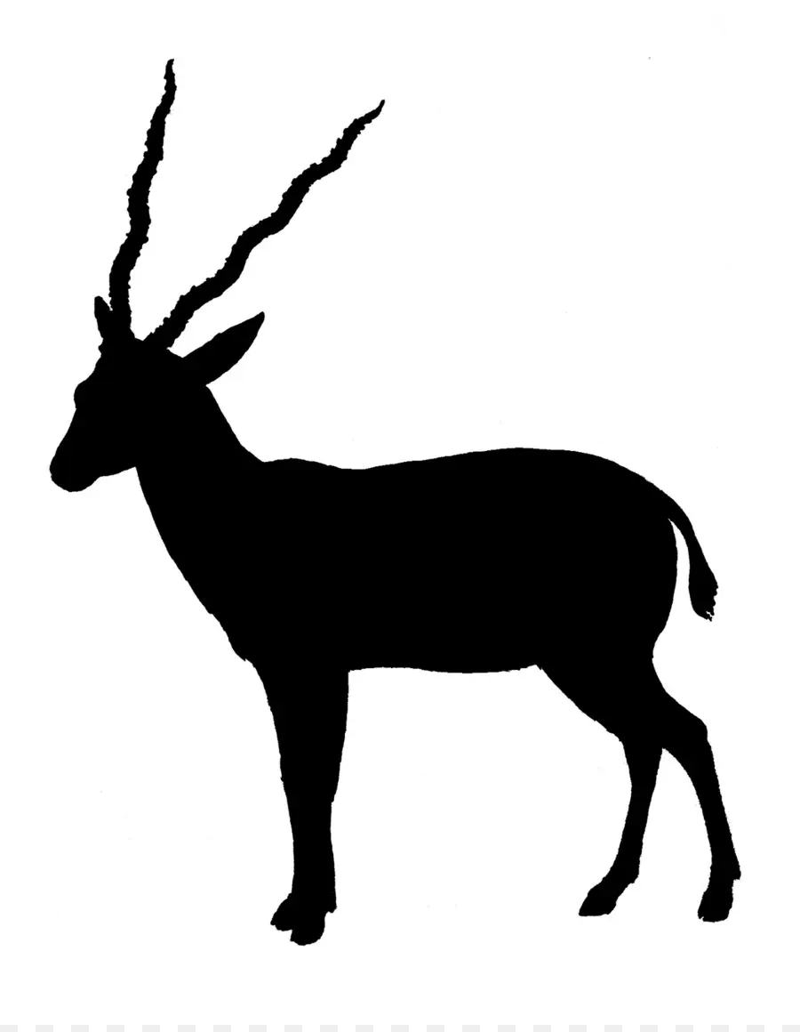 Silhouette D'antilope，Faune PNG