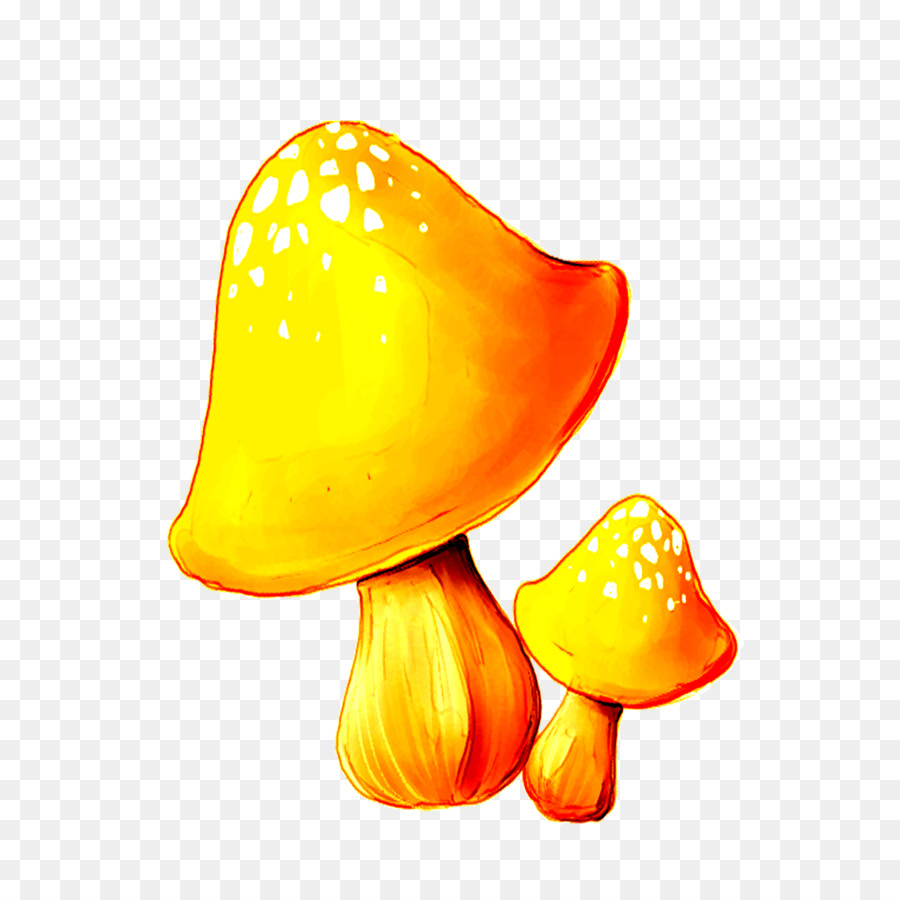 Champignons，Orange PNG