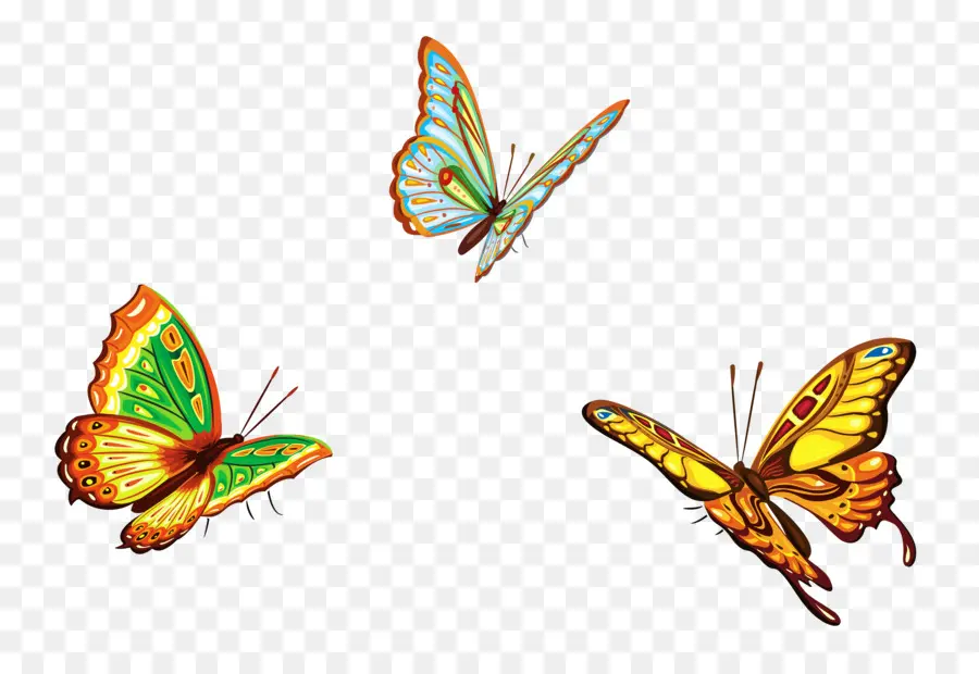 Papillons，Coloré PNG