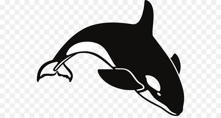 Orque，Baleine PNG