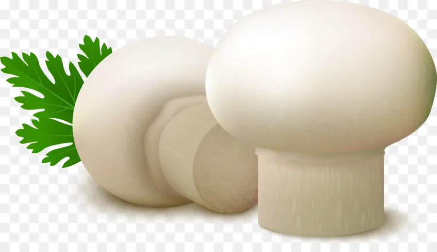 Champignons Blancs，Légume PNG