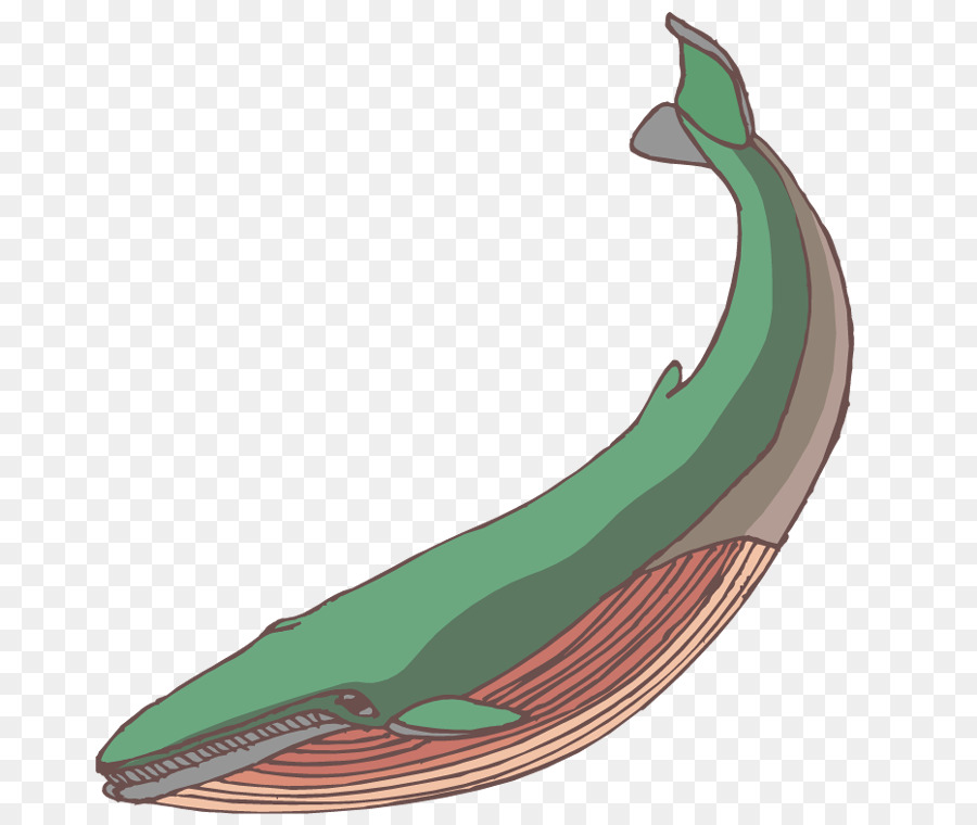 Baleine，Contenu Gratuit PNG