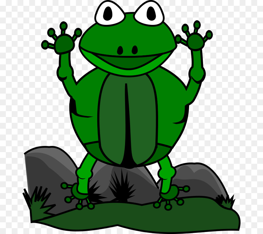 Grenouille，Dessin Animé PNG