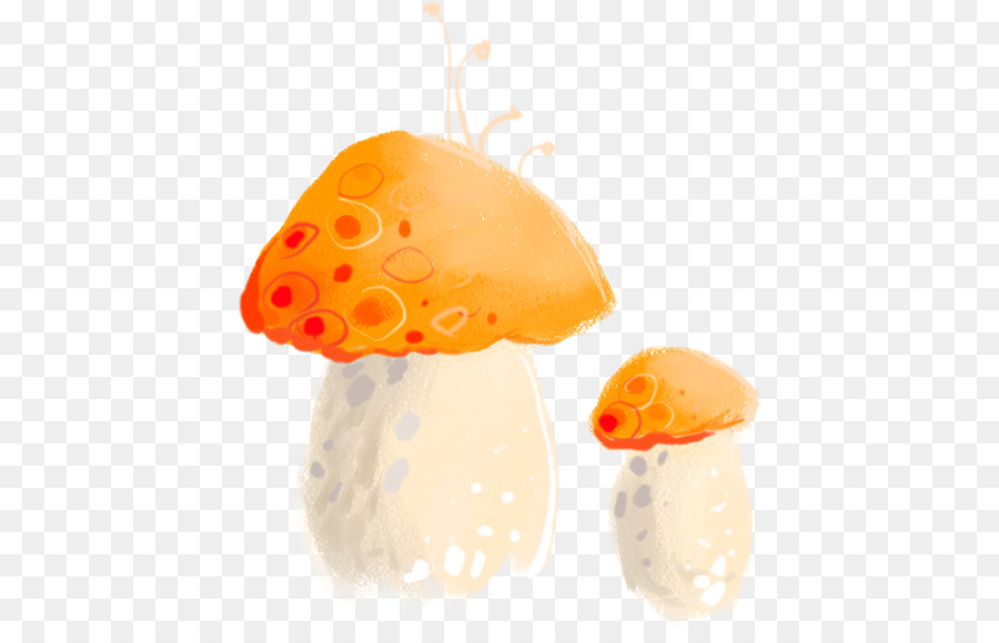 Champignons De Dessin Animé，Orange PNG