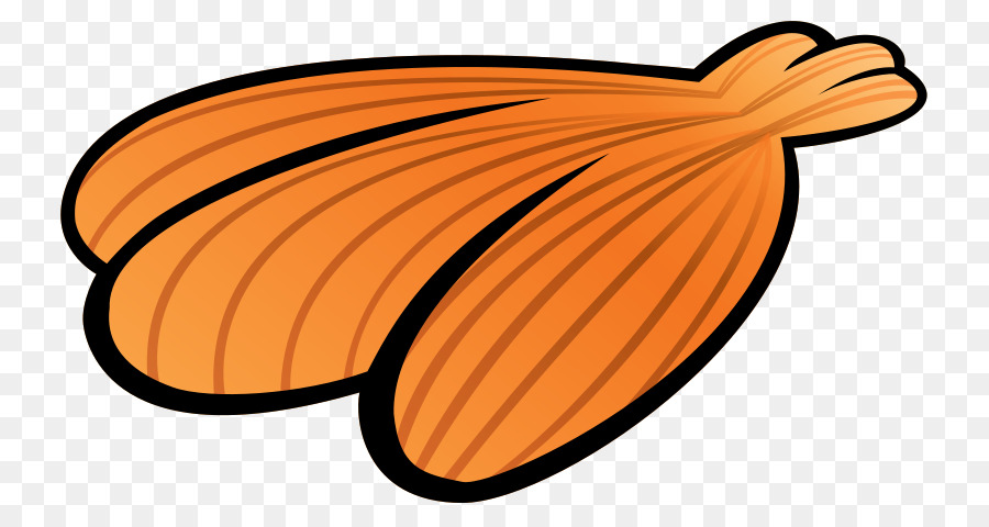 Ailes Oranges，Plumes PNG