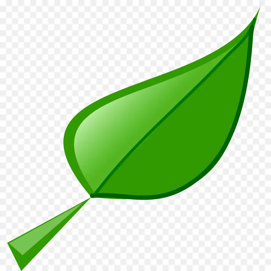 Feuille Verte，Usine PNG