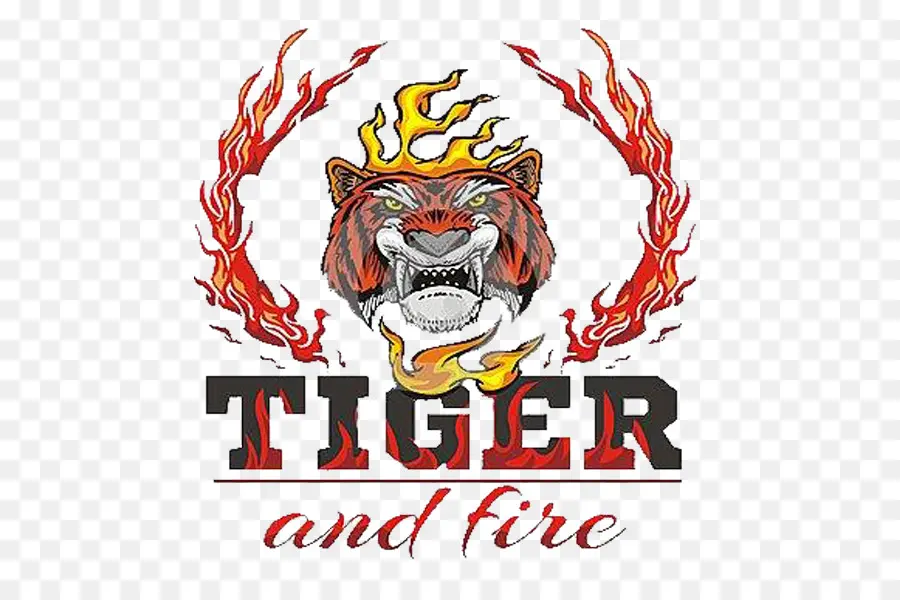 Tigre Et Feu，Tigre PNG