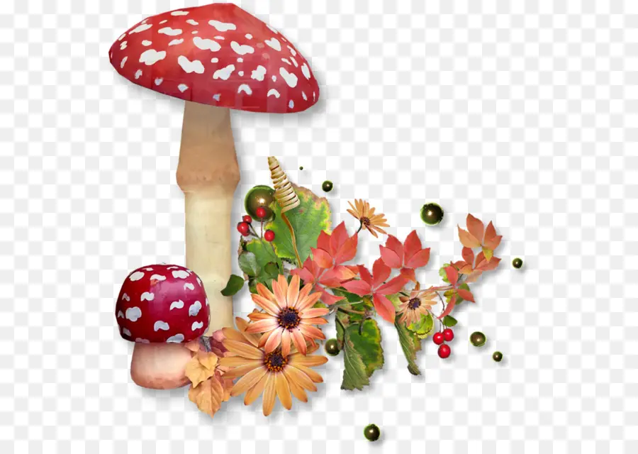 Champignons Et Fleurs，Automne PNG