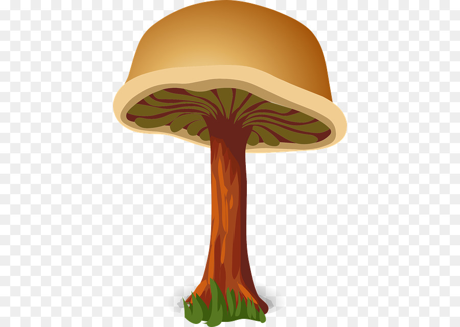 Champignons，Champignon PNG