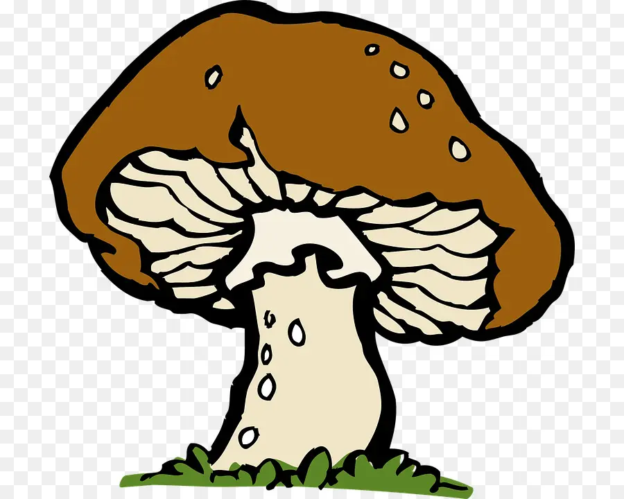 Champignon，Brun PNG