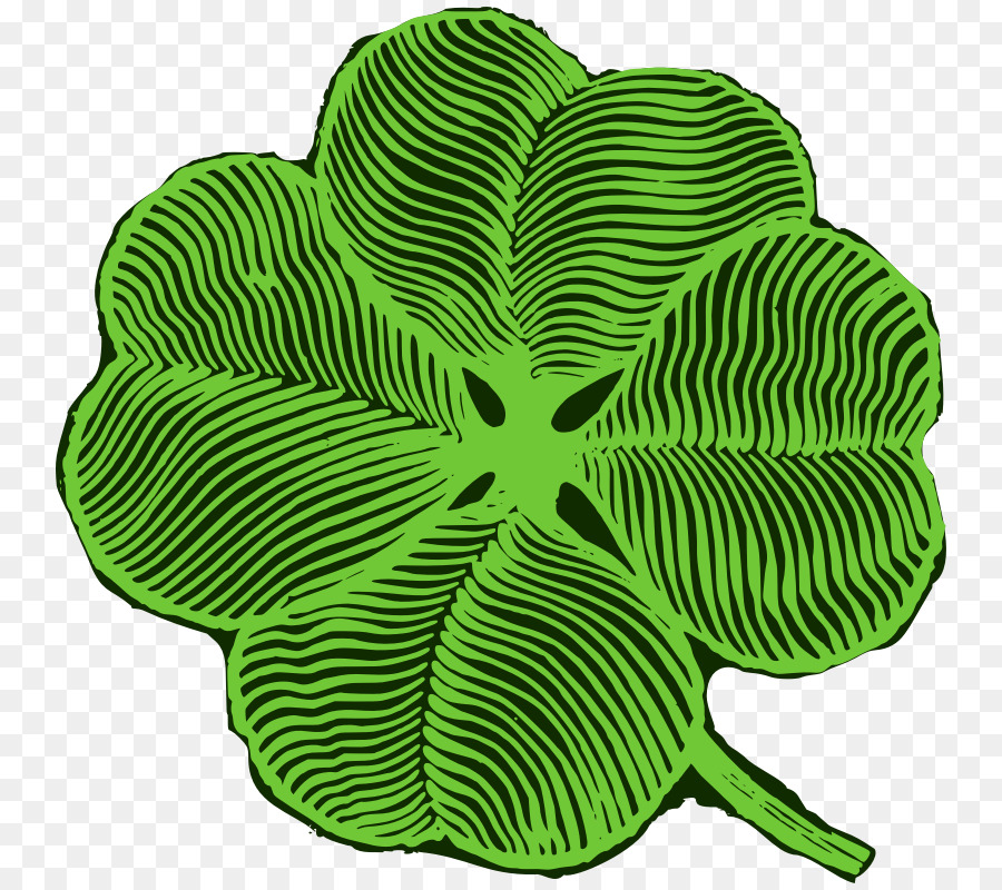 Fourleaf Trèfle，Trèfle PNG