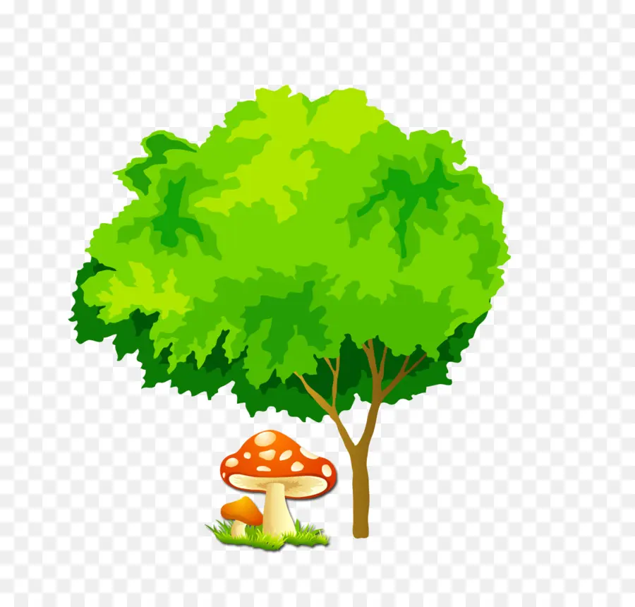 Arbre Aux Champignons，Nature PNG