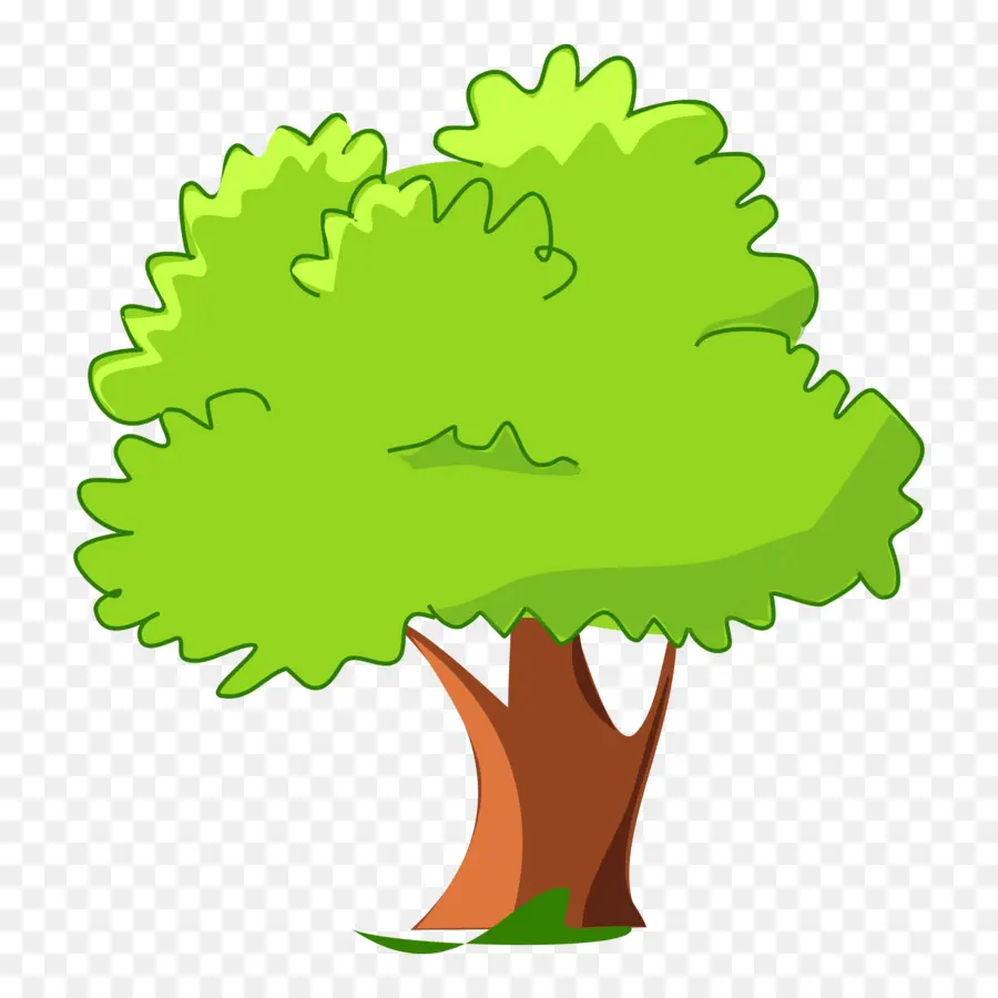 Arbre，Usine PNG