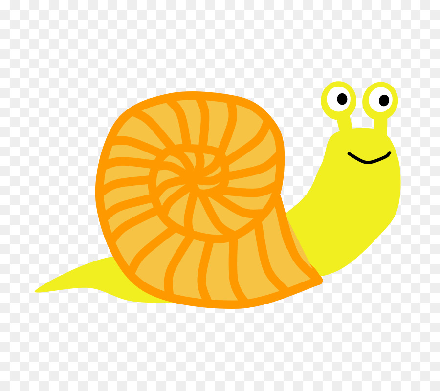 Escargot，Coquille PNG