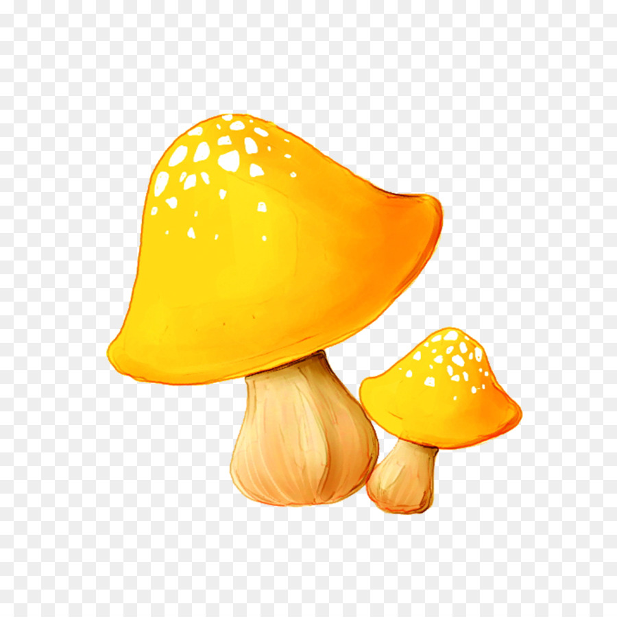 Champignons，Enokitake PNG