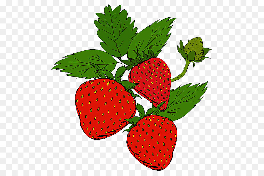 Fraises，Baies PNG