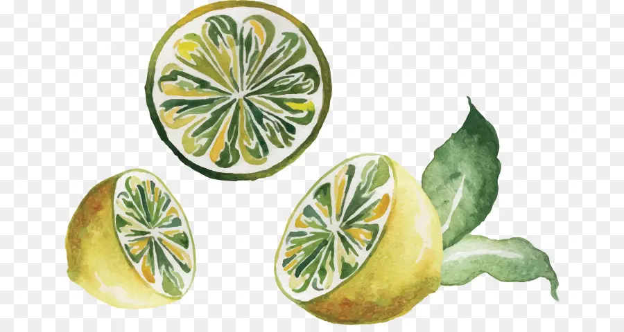 Illustration De Citron，Agrumes PNG