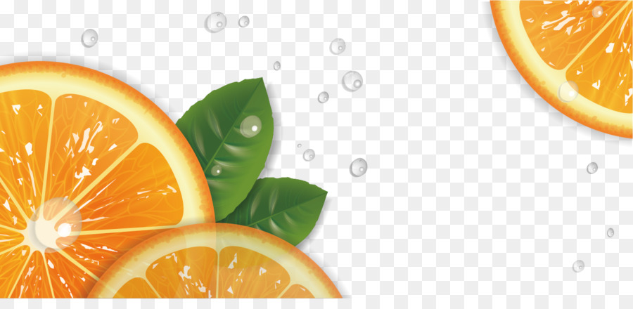 Fruits Oranges，Feuilles PNG