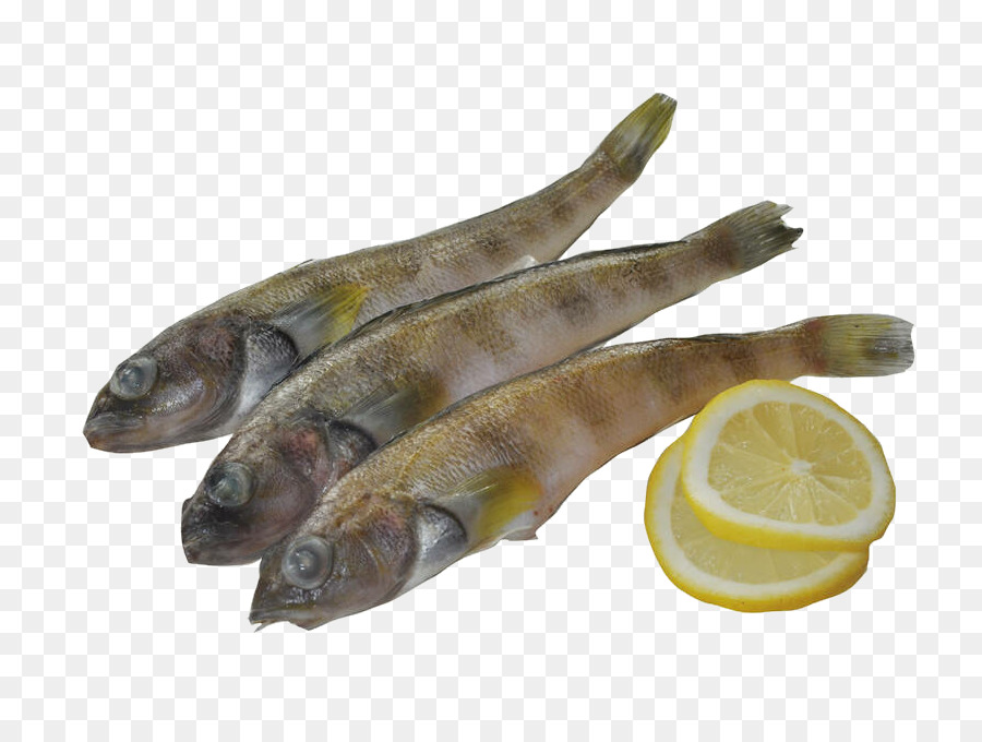 Poisson，Capelin PNG