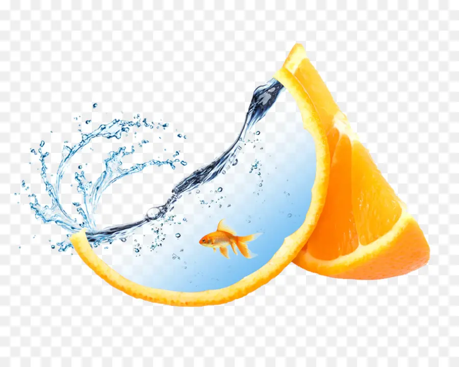 Tranche D'orange Avec De L'eau Et Du Poisson，Orange PNG