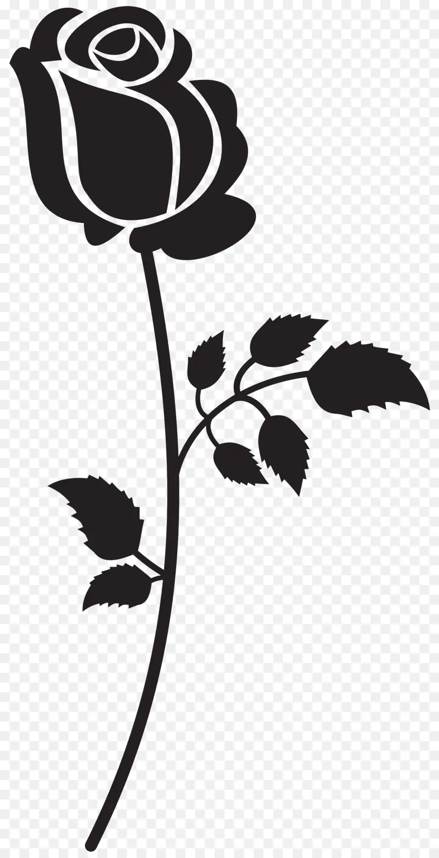 Rose Noire Et Blanche，Usine PNG