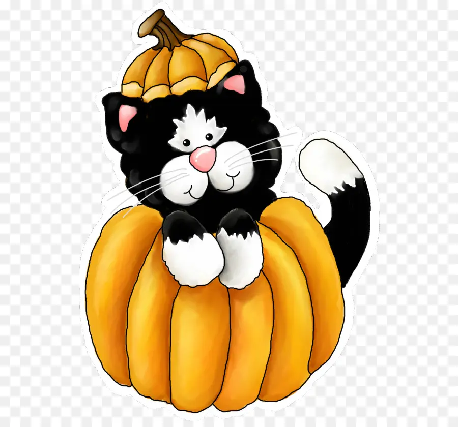 Chat En Citrouille，Halloween PNG