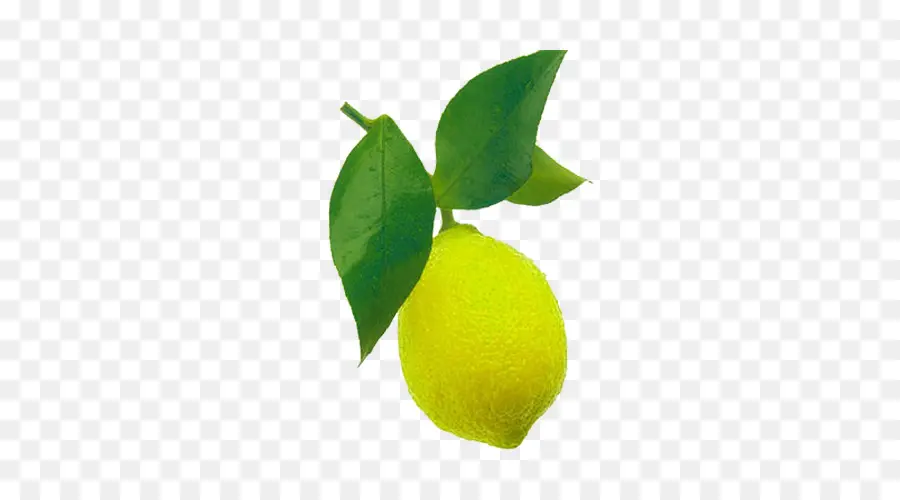 Citron，Agrumes PNG