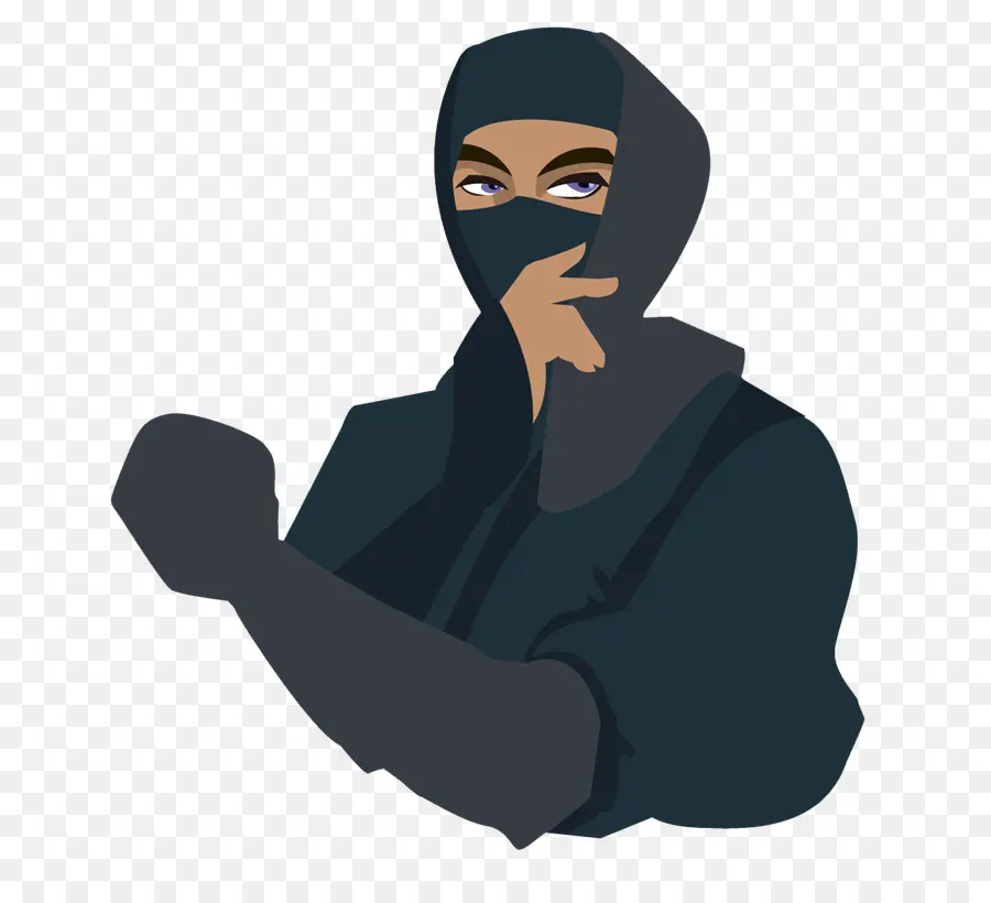 Ninja，Ordinateur PNG