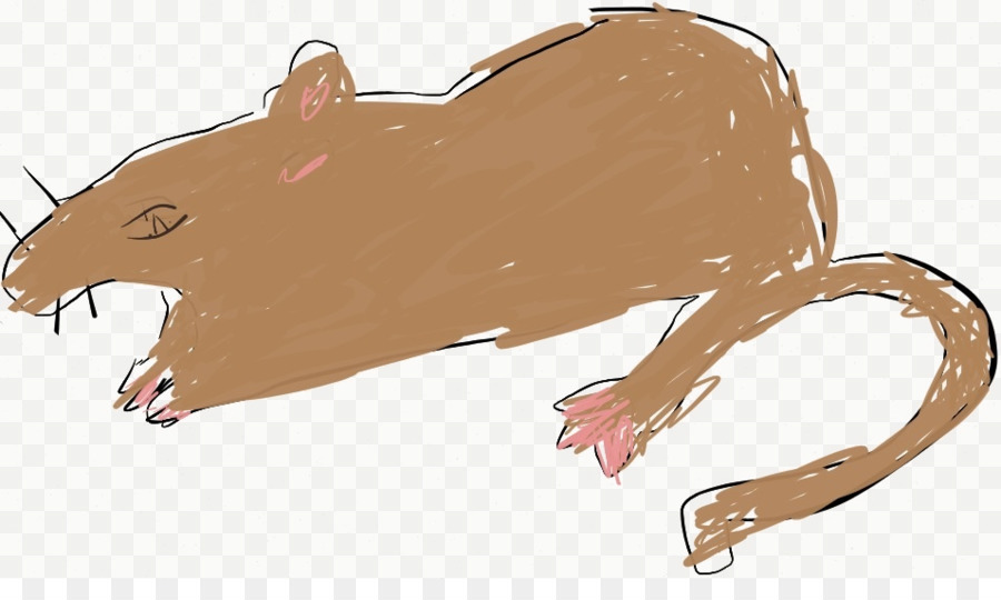 Rat Brun，Souris PNG