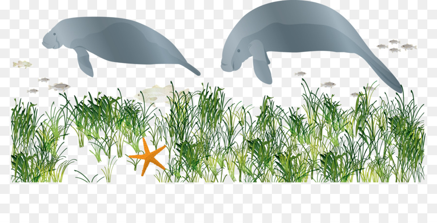 œuvres D'art，Gras PNG