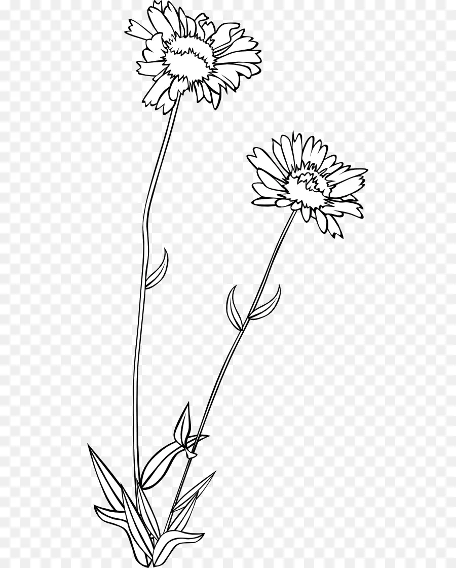 Fleurs，Tiges PNG