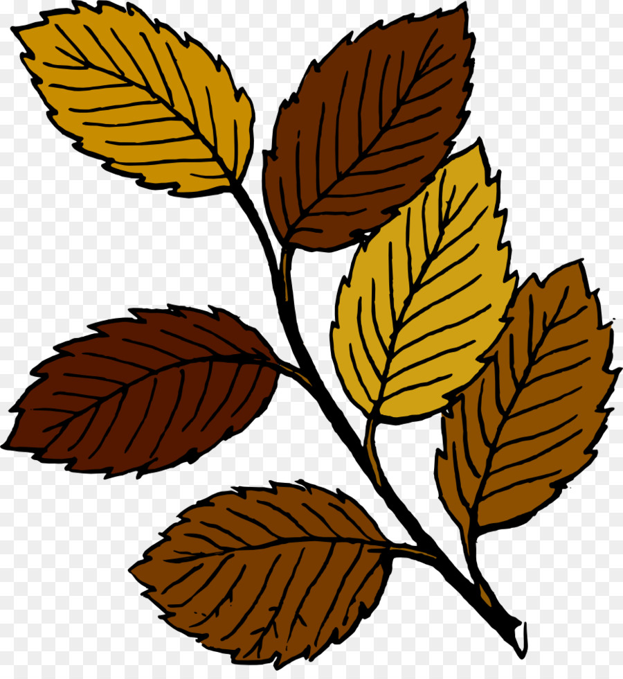 Feuilles Brunes，Automne PNG