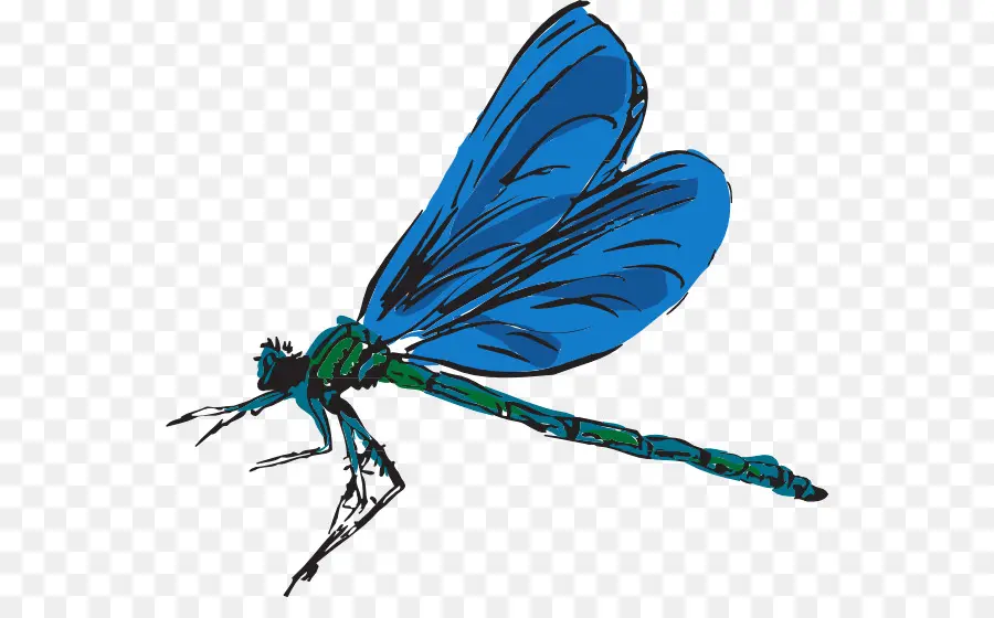 Libellule Bleue，Ailes PNG