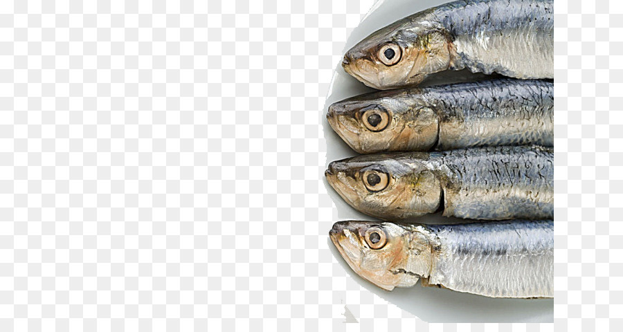 Sardines，Poisson PNG