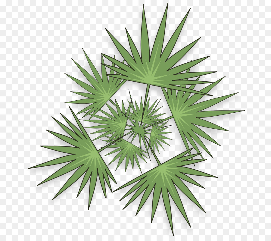 Feuilles De Palmier，Vert PNG