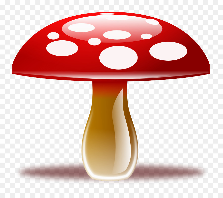 Champignons，Champignon Comestible PNG