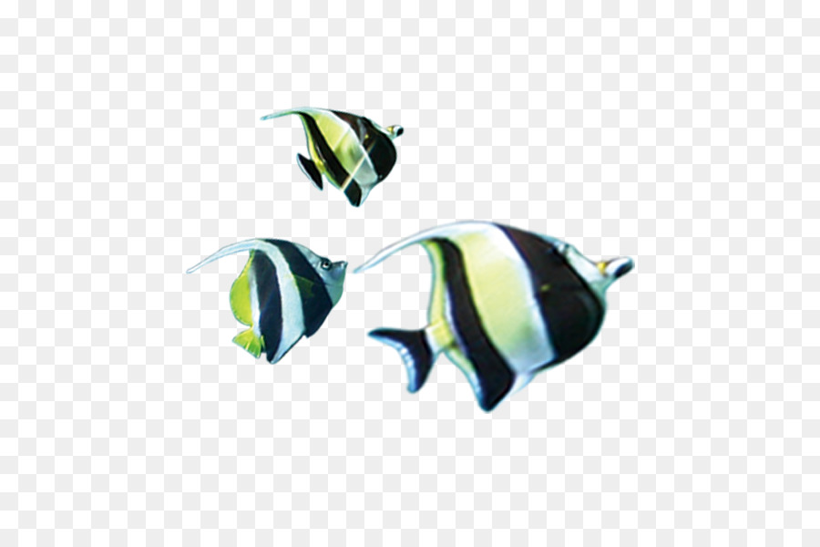 Poissons Tropicaux，Tropical PNG