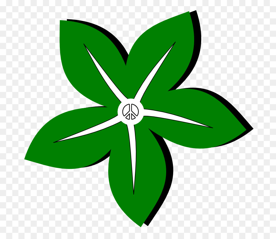 Couleur，Fleur PNG